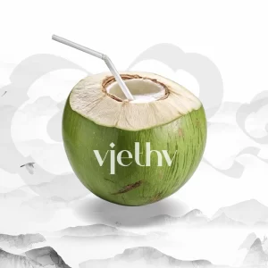Dừa xiêm nguyên trái VIETHV Ninh Bình – Nước Dừa Xiêm